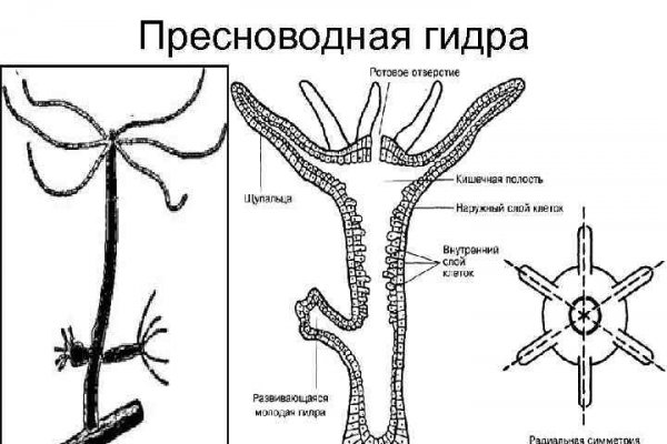 Omg omg телеграм канал